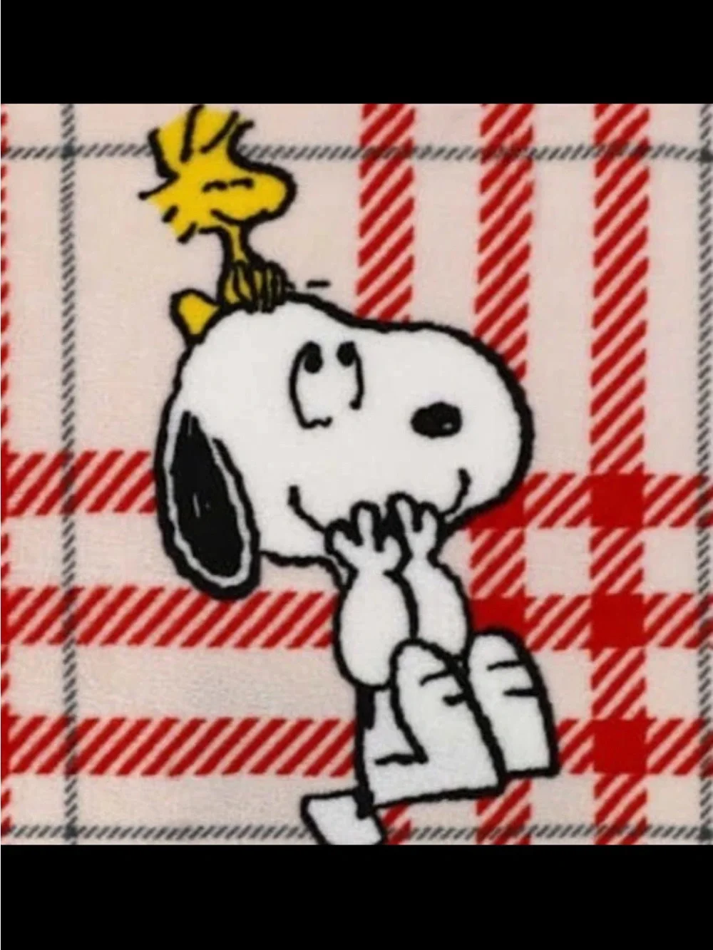 Peanuts Snoopy Red Plaid Kids Throw Blanket - Soft Silk Touch 50in x 60in